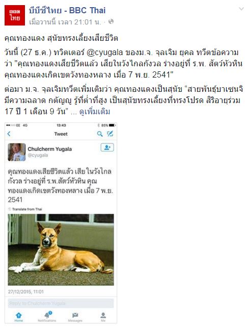 คุณทองแดงตายหรือยัง